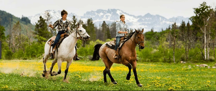 Confident plus-size woman riding Old Trafford a horse through a field with a smile on her face.